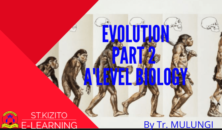 EVOLUTION PART 2
