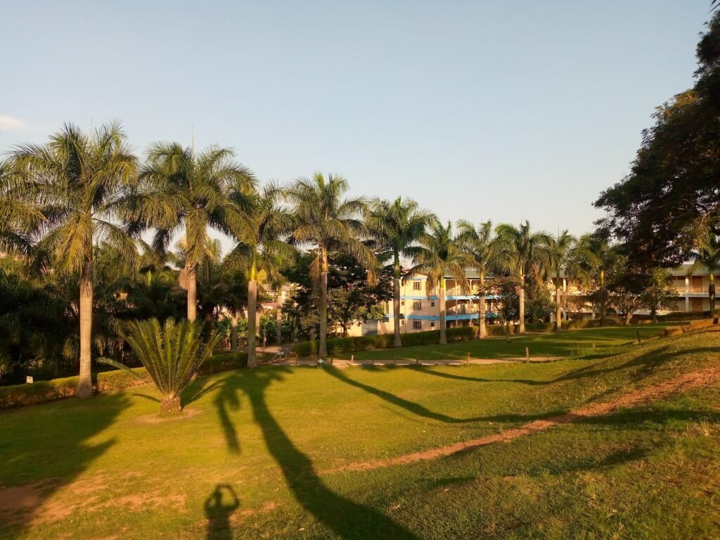 IMG 20210724 173738 850