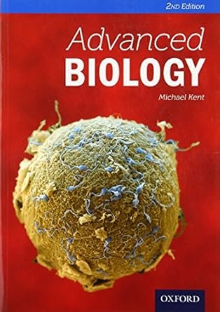 51oBcEzOdgL. SY445 SX342