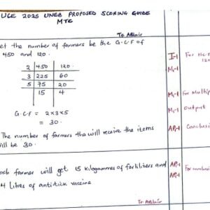 UNEB UCE MATH GUIDE 2025