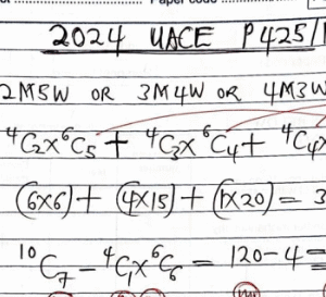 UNEB UACE MATH PAPER 1 & 2 GUIDES 2020 - 2024