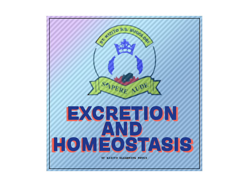 Excretion and Homeostasis